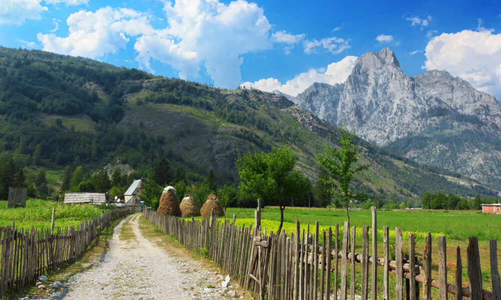 Luptă pentru biodiversitate și conservarea ecosistemelor: 6,6 milioane de hectare împădurite în România
