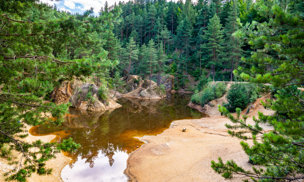 Creșterea economiei Poloniei, favorizată de resursele naturale. Care sunt cele mai importante rezerve ale statului din Estul Europei