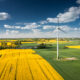 Câmp de rapiță, Polonia, Sursa foto: dreamstime.com