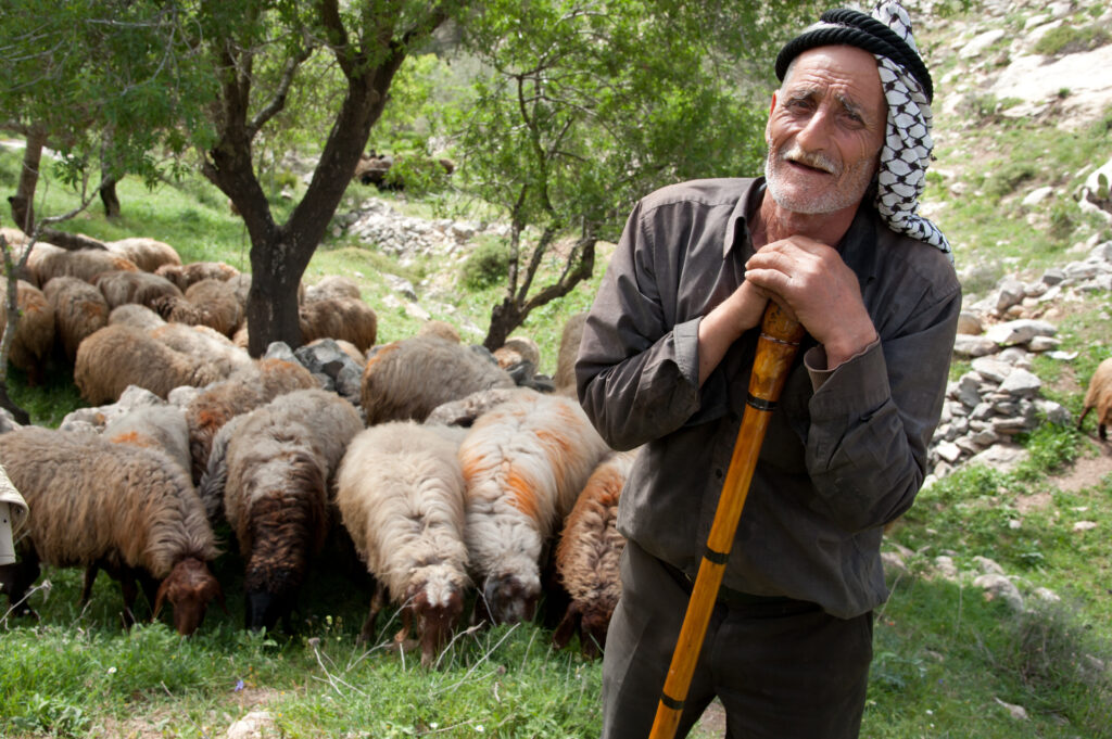 Oier în Palestina