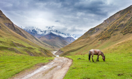 Agricultura Georgiei, sursa foto dreamstime