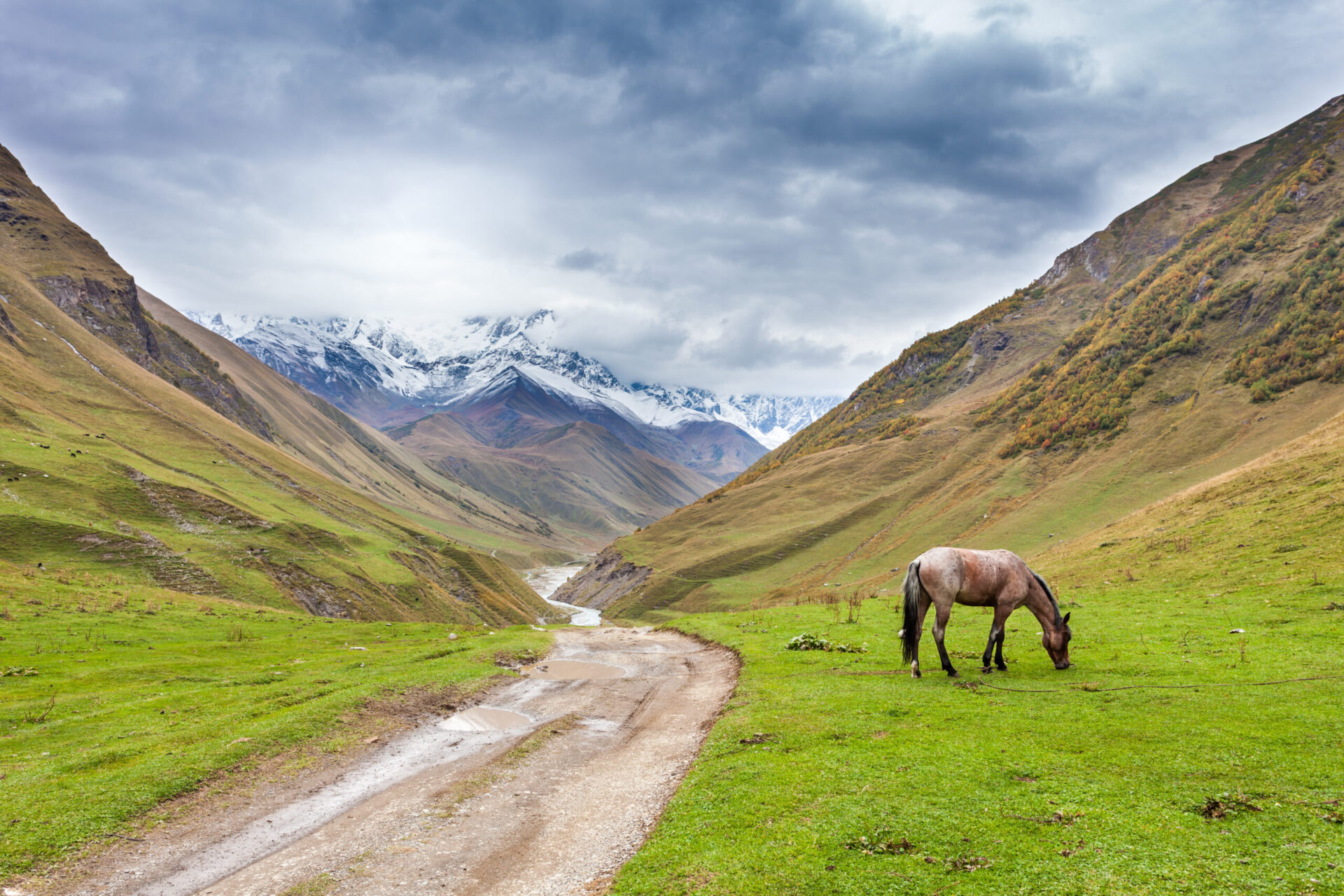 Agricultura Georgiei, sursa foto dreamstime