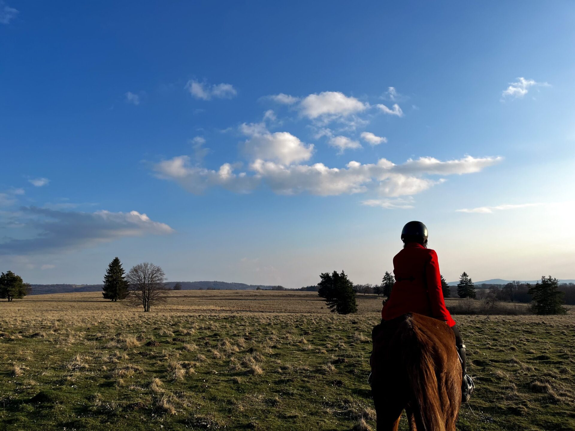 La Centrul de echitație Lófő turiștii și pasionații de călărie pot petrece ore bune în natură, călare, ca metodă de relaxare (sursă foto: Infofinanciar / Adrian Lambru)