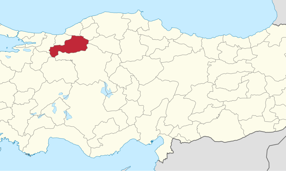 Încă un cutremur lovește Turcia! Epicentrul a fost aproape de Istanbul