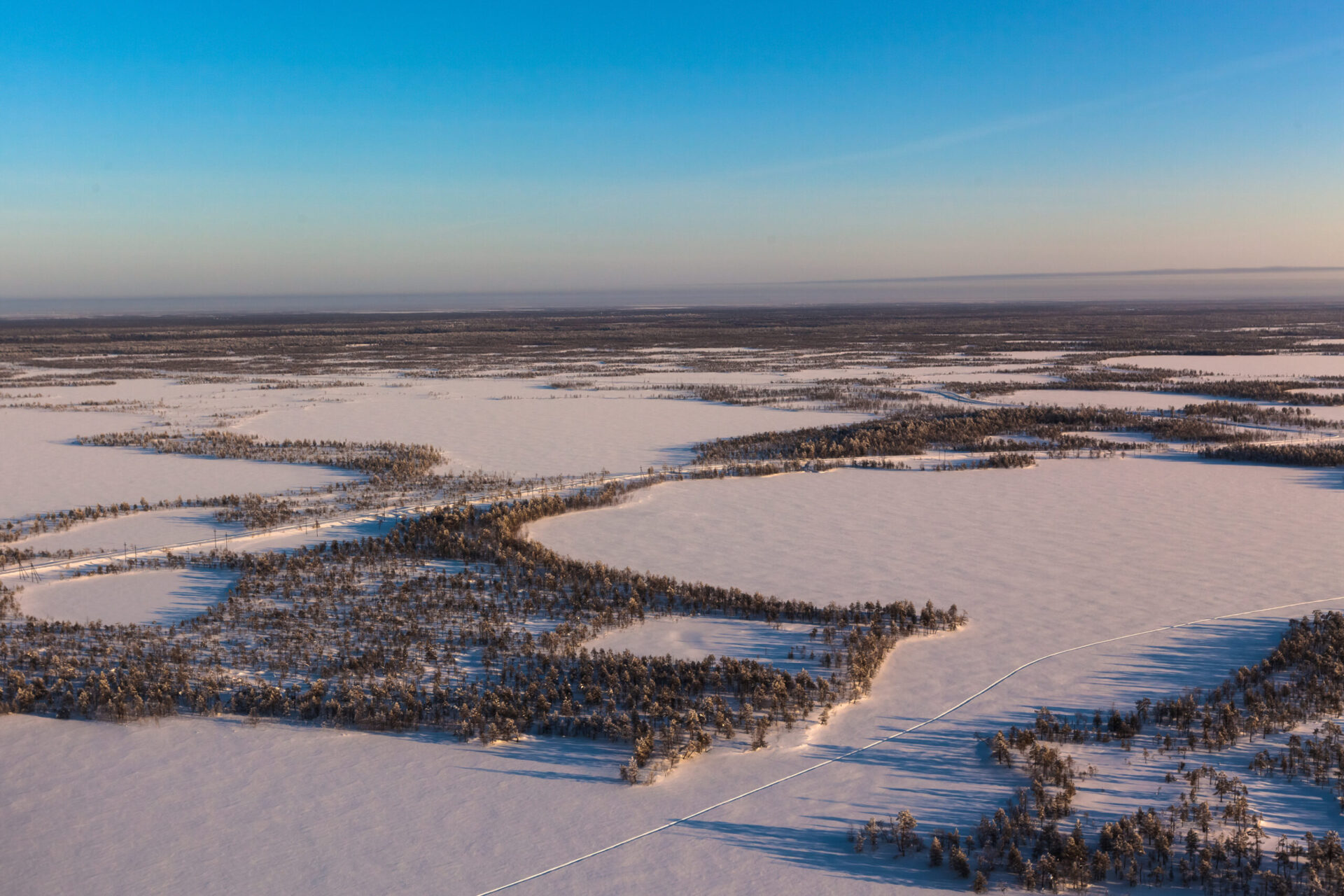 Câmpia Siberiei de Vest acoperă 2,6 milioane de km pătrați din suprafața Rusiei sursă foto: dreamstime.com