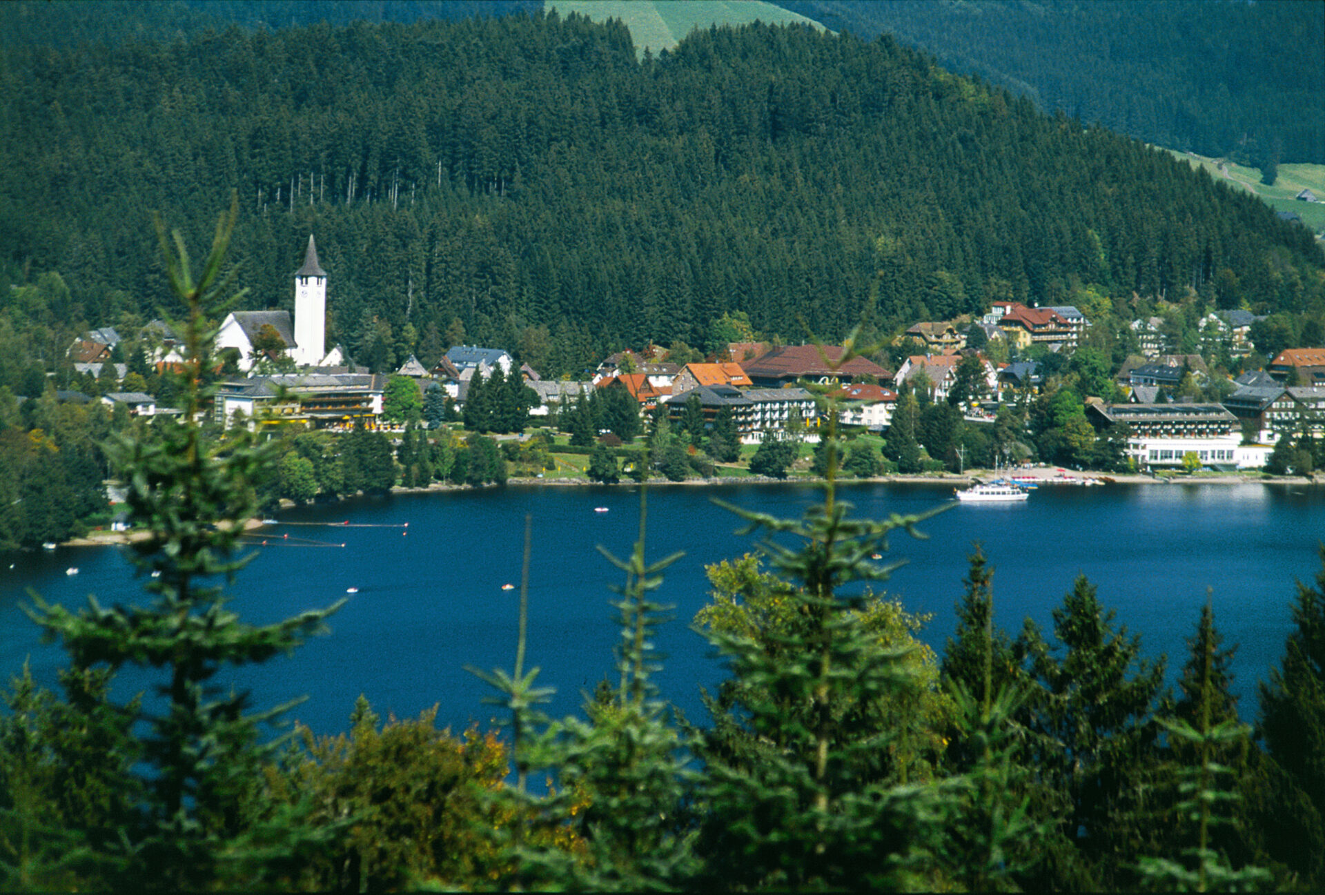 Pădurea neagră, Germania. Sursa foto: dreamstime.com