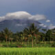 Vulcanul Merapi din Indonezia