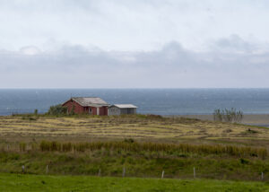 Peisaj de iarbă cu fermă de munte și pajiște lângă plaja de nisip negru din Islanda, Sursa foto: dreamstime.com