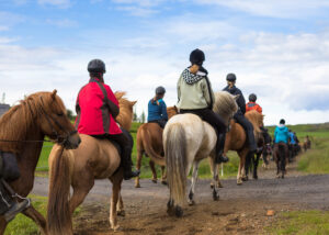 Grup de călăreți în Islanda