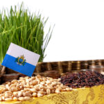 Agricultura din San Marino este un domeniu de bază, ce susține semnificativ economia acestei țări (sursă foto: dreamstime)