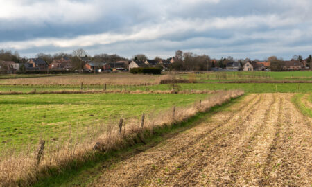 Teren în mediul rural belgian