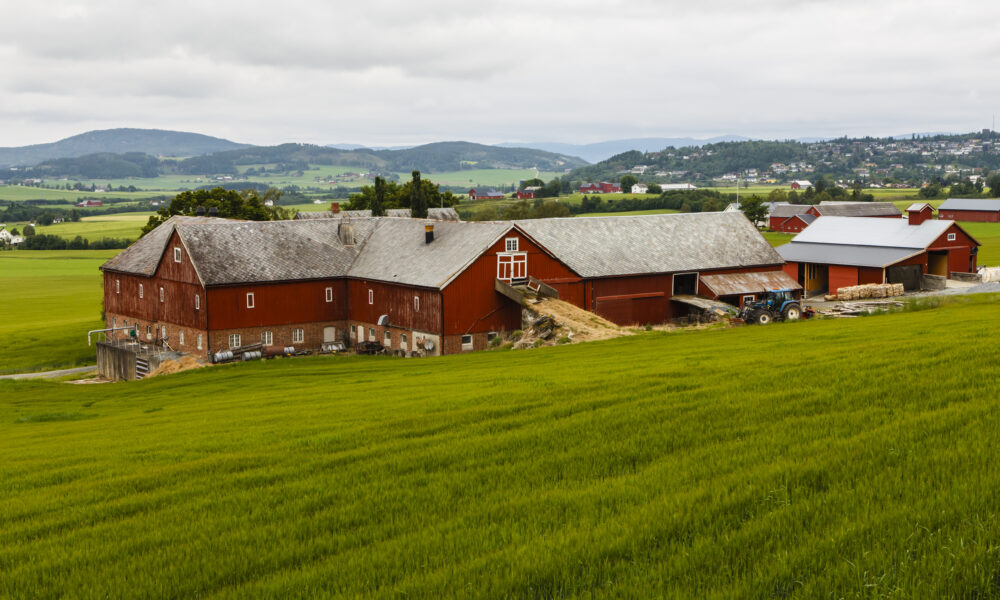 Importanța agriculturii în economia Norvegiei. 3% din suprafața totală a țării este teren arabil