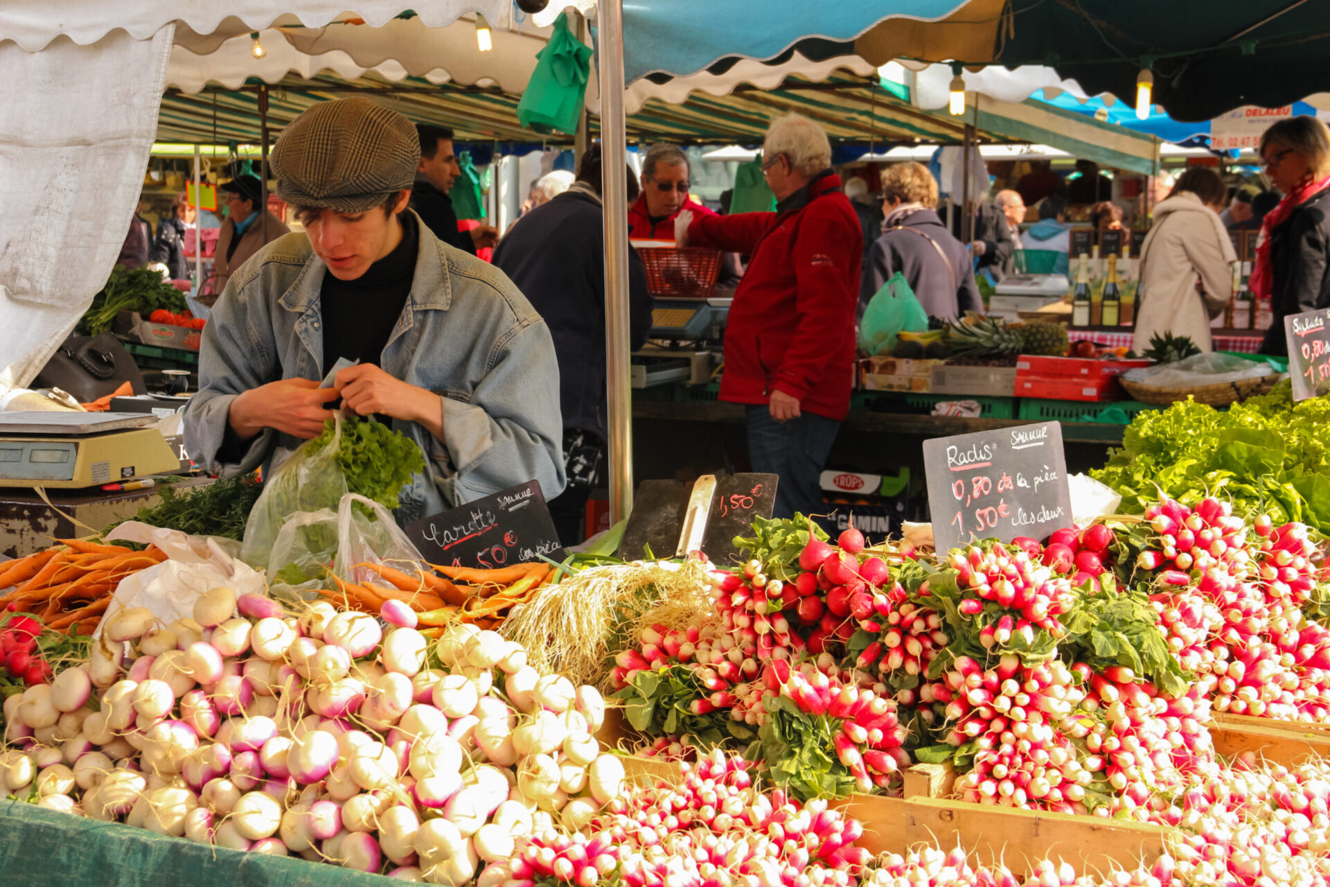 Mai mult de jumătate din terenul arabil al țării este folosit pentru cereale, care împreună asigură aproximativ o șesime din valoarea totală a producției agricole. Sursa foto: Dreamstime