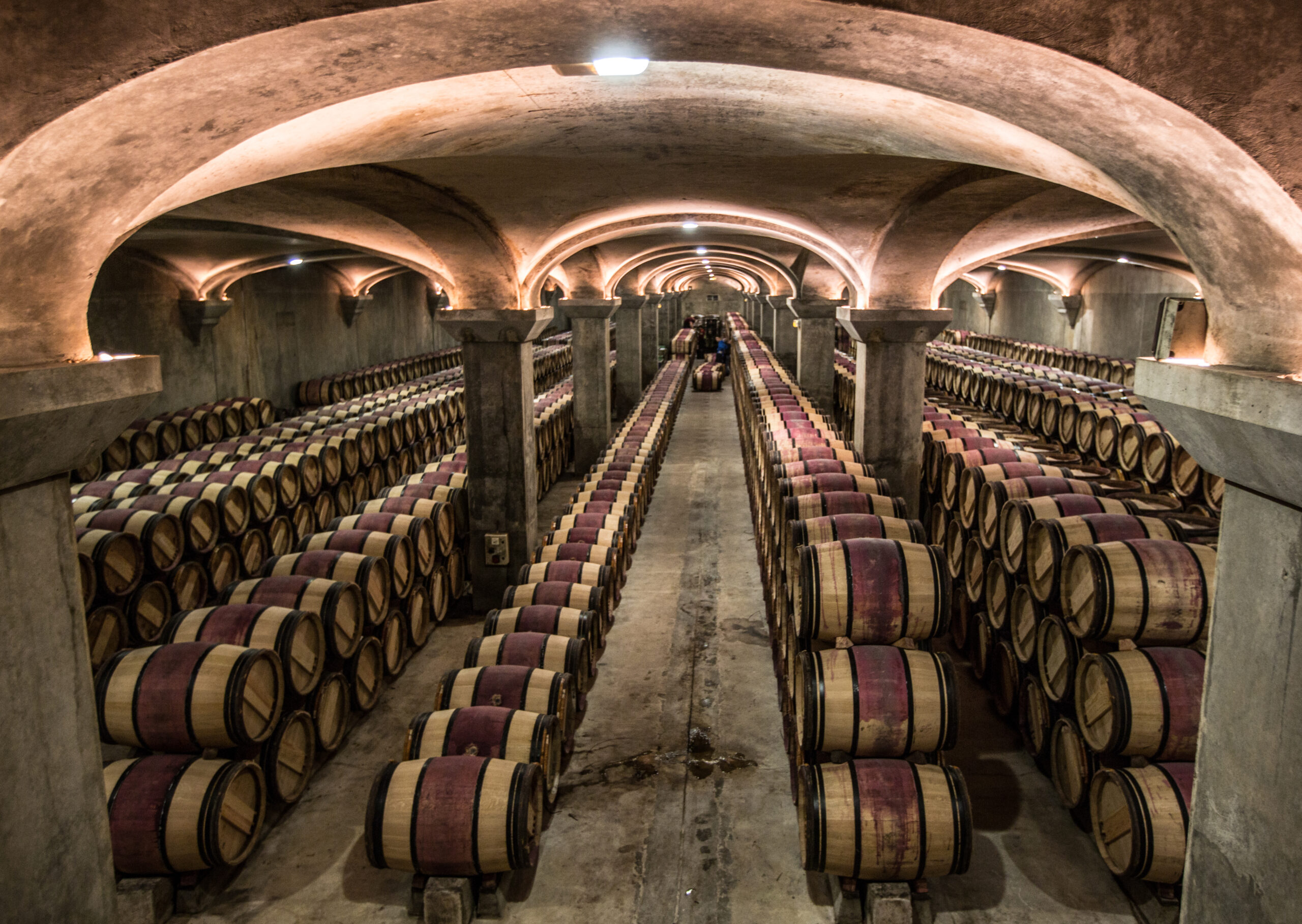 S-a înregistrat o scădere accentuată a producției de vin „de masă”, o tendință legată de politica UE, care favorizează creșterea producției de vinuri de calitate. Sursa foto dreamstime