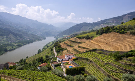 sursa foto dreamstime