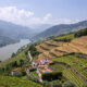 sursa foto dreamstime