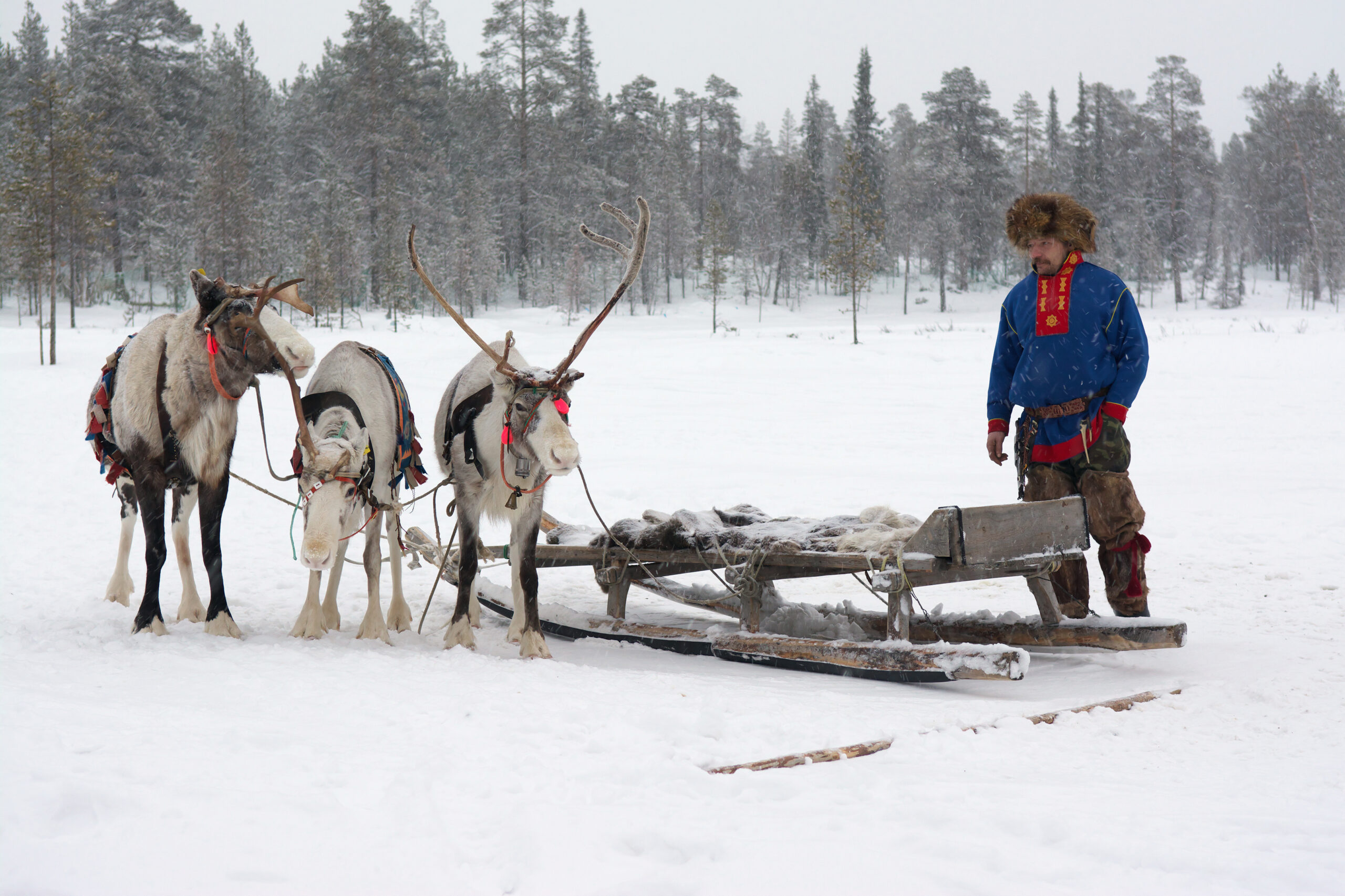 Costumul național sami 