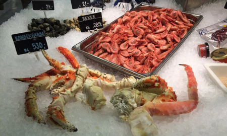 fructe de mare sursa foto lifeinnorway