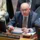 Sergiy Kyslytsya, reprezentantul Rusiei la Consiliul de Securitate ONU (sursă foto: AP NEWS)