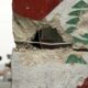 liban conflict armat (sursă foto: spiegel.de)