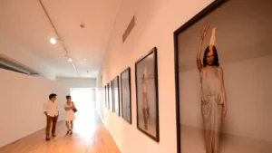 arta, sursa foto gandul