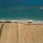 Agricultură în Paphos, Cipru Sursă foto: Dreamstime