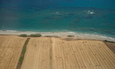 Agricultură în Paphos, Cipru Sursă foto: Dreamstime