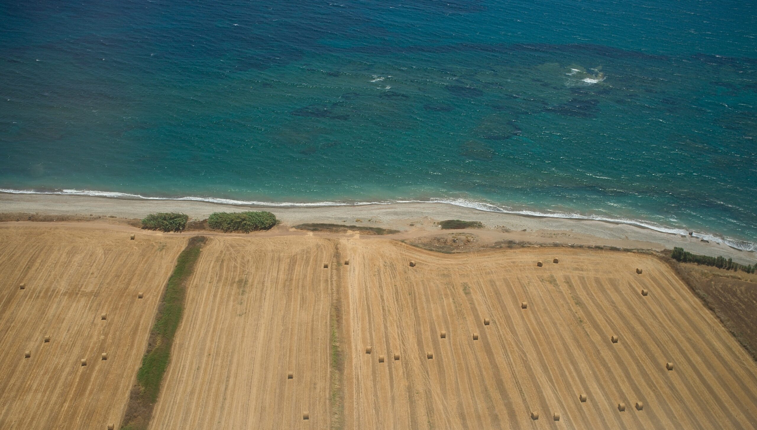 Agricultură în Paphos, Cipru Sursă foto: Dreamstime