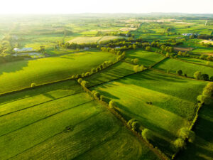 Vedere aeriană a pășunilor luxuriante și a terenurilor agricole nesfârșite din Irlanda. Sursa foto dreamstime.com