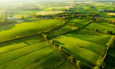 Vedere aeriană a pășunilor luxuriante și a terenurilor agricole nesfârșite din Irlanda. Sursa foto dreamstime.com