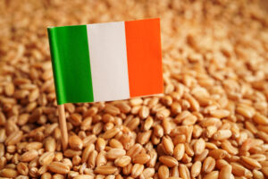 Cereale de grâu cu steagul Irlandei, conceptul de comerț, export și economie, Sursa foto dreamstime.com