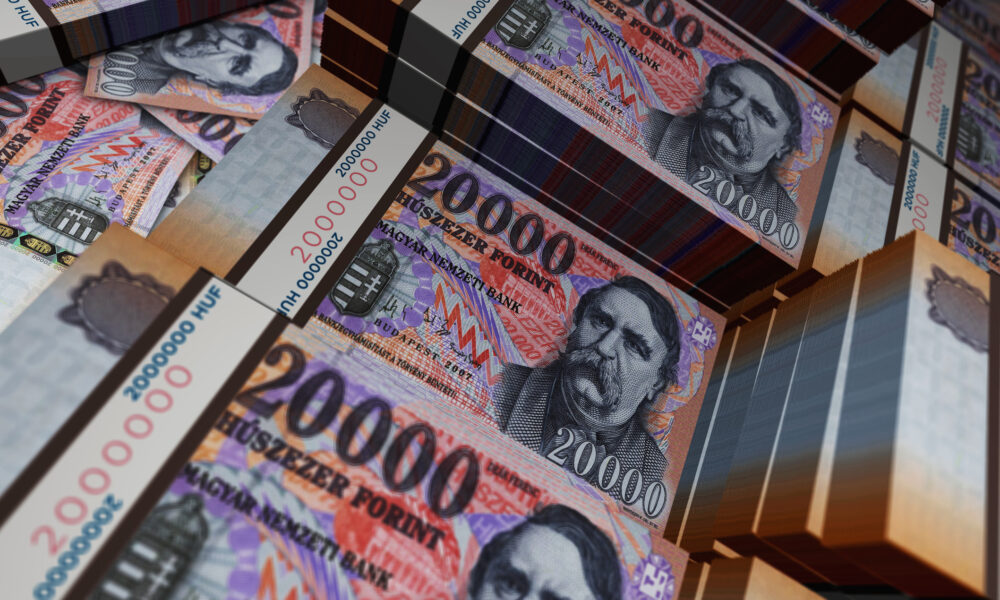 Totul despre economia Ungariei! Una dintre țările Europei care face față cu greu crizei
