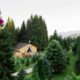Hadar Chalet 1