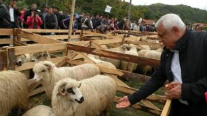 Petrea Daea Sursa foto Agrointeligența