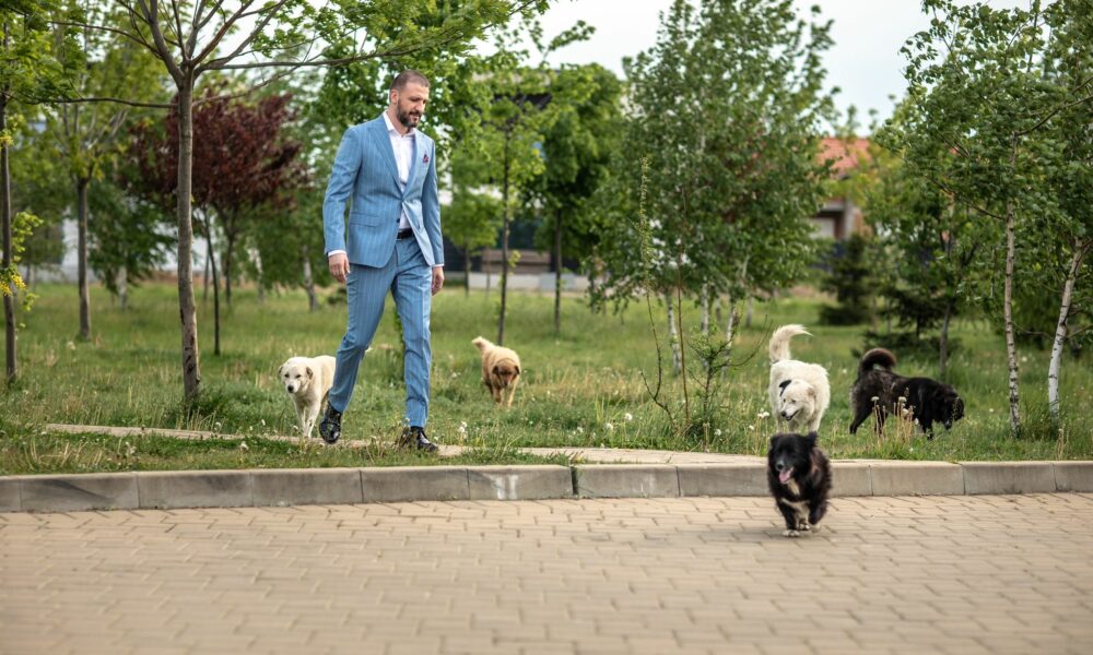 Mai avem până să ne facem bine. Ștefan Mandachi organizează un nou protest pentru oprirea abuzurilor asupra animalelor