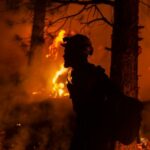 incendii de vegetație Canada Sursă foto Observator