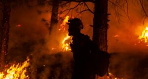 incendii de vegetație Canada Sursă foto Observator