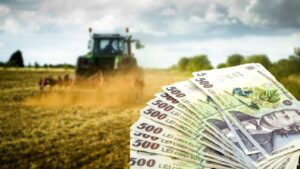 ajutor financiar bani agricultori (sursă foto: noutatilezilei.ro) APIA