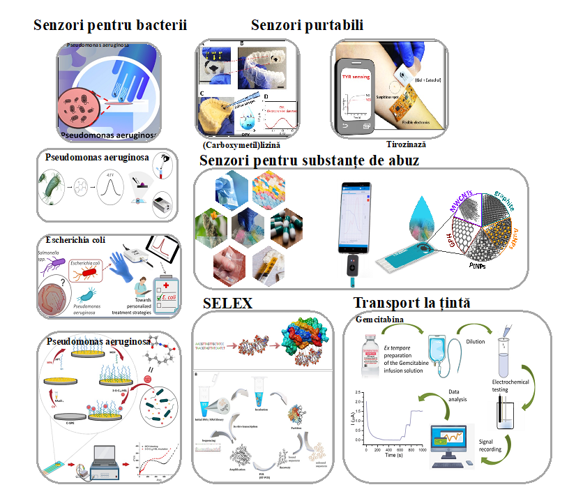 Grupul de Biosenzori și Bioelectrochimie