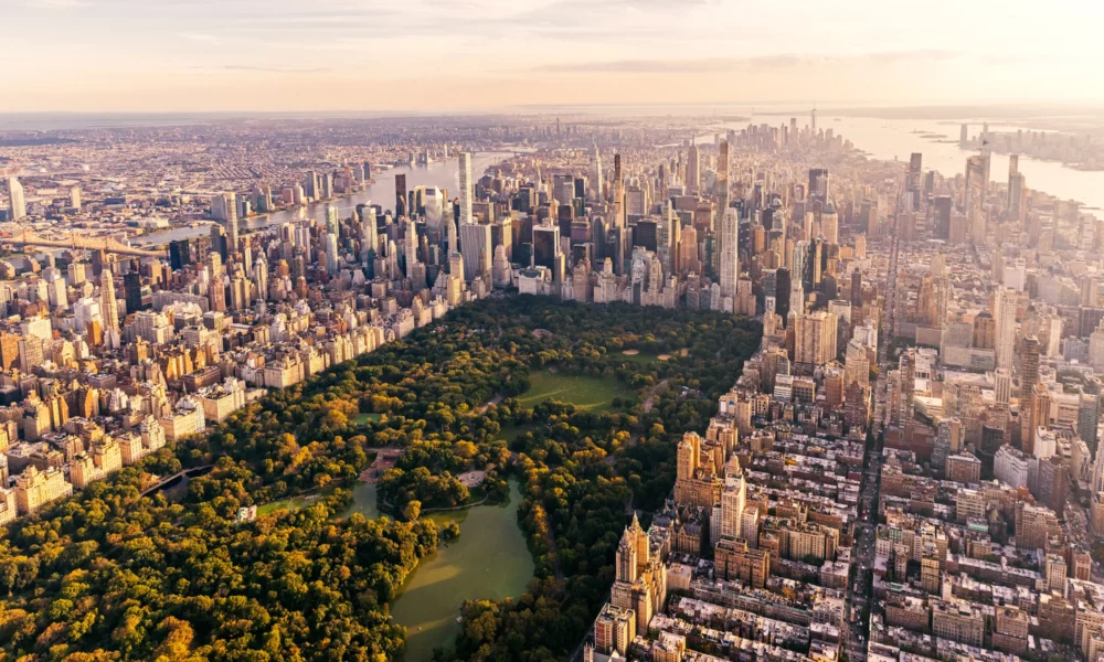Sprijin pentru migranții de la New York. Noul program pilot va garanta banii pentru alimente