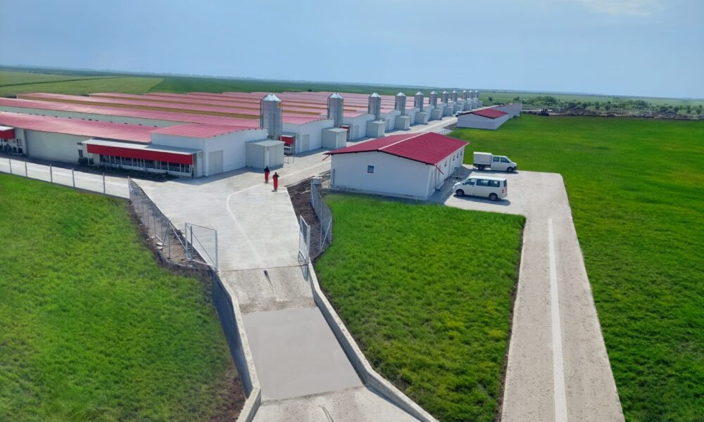 Grupul Carmistin a investit 8 milioane euro în cea mai mare și modernă fermă de creștere a păsărilor din județul Olt