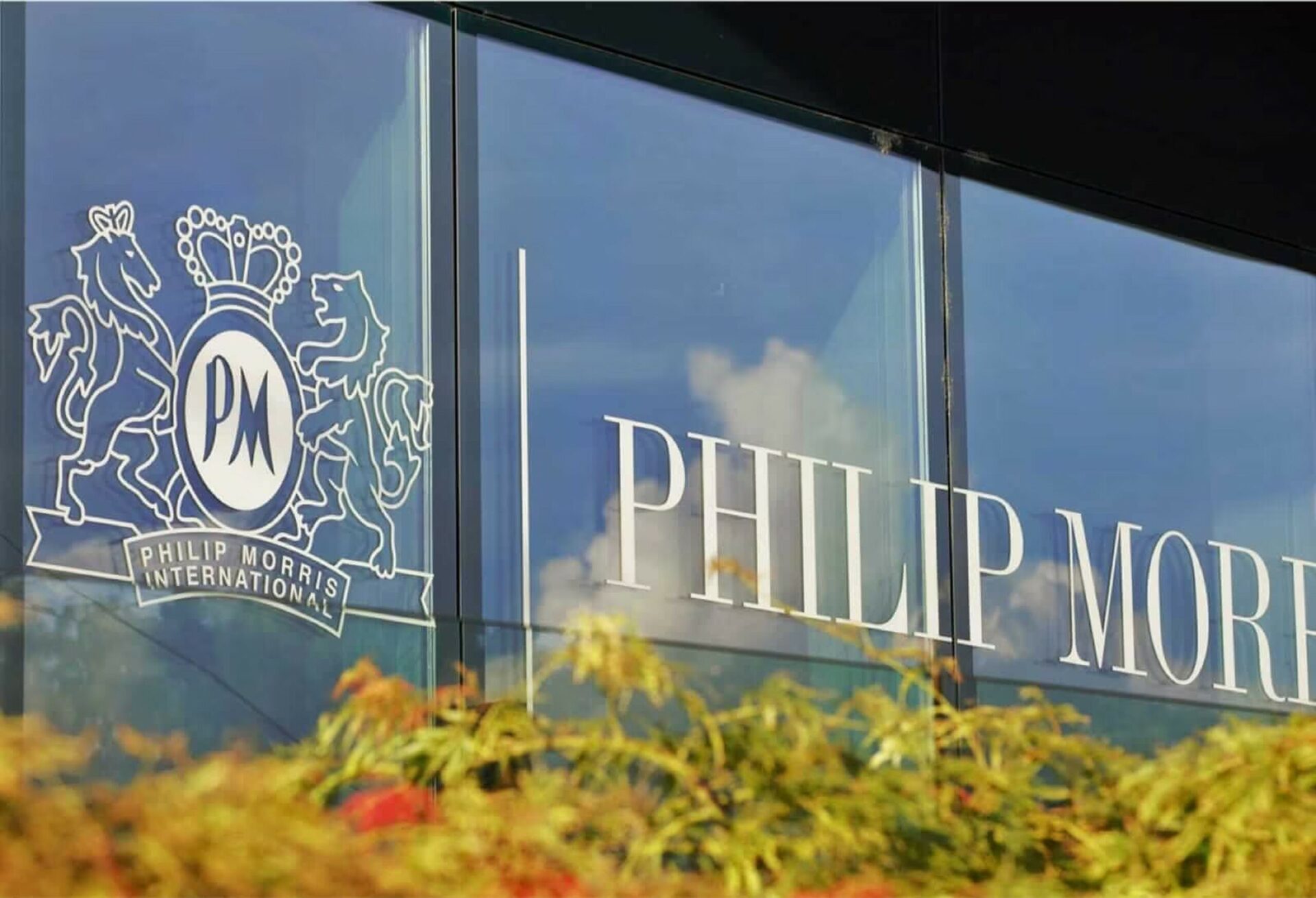 company-info-pmi.v1