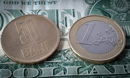 lei dolari și euro
