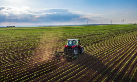 Agricultura Sursa foto Brachers