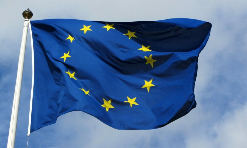Alegerile europarlamentare sunt în pregătire! Ce planuri au politicienii