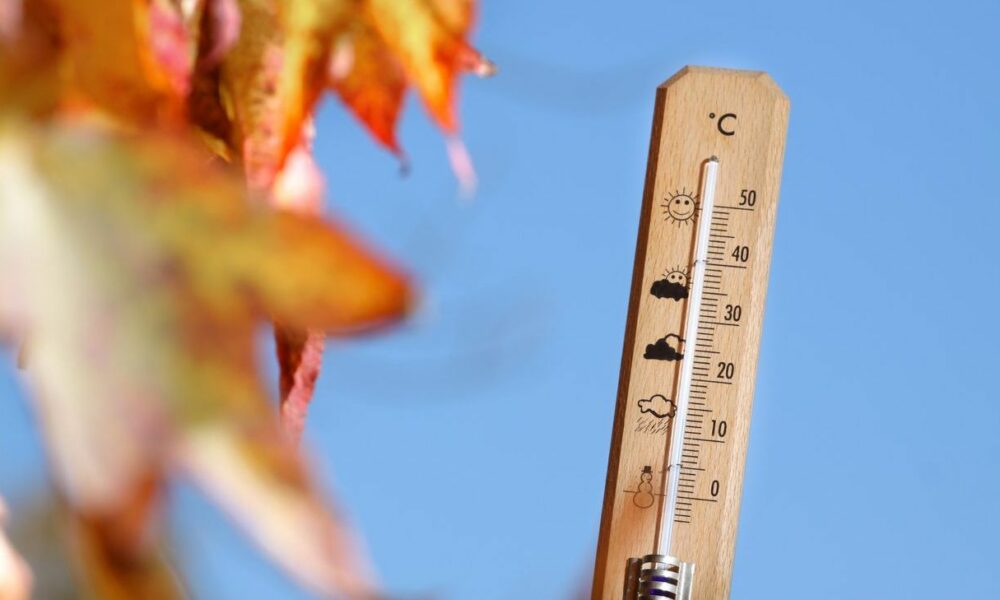 Prognoza meteo pentru februarie: Temperaturile cresc peste medie