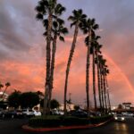 california sursa foto los angeles time