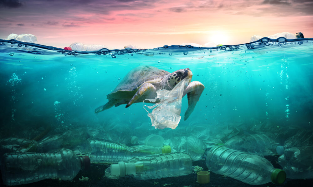 Cum a devenit Arabia Saudită majoreta mondială a plasticului? Consensul global privind protecția mediului se destramă