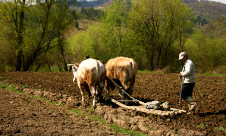 agricultura României