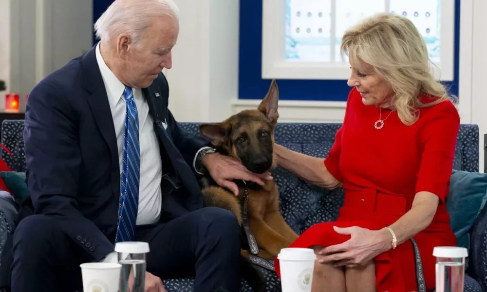 Echipa de la Casa albă este îngrozită! Câinele lui Biden, un pericol pentru angajați